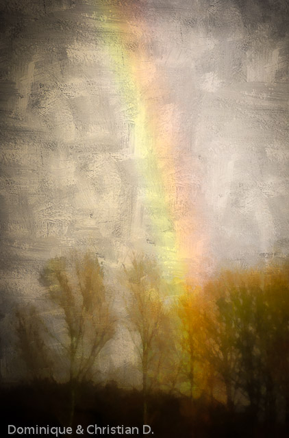 Arc sur le Grand Marais #2